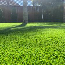 Grass Petaluma 2