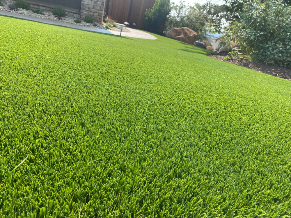 Artificial grass Martinez CA